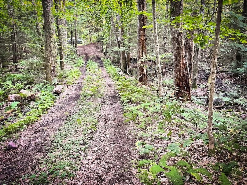 Oswego_25.66_Pettit_Photos_25