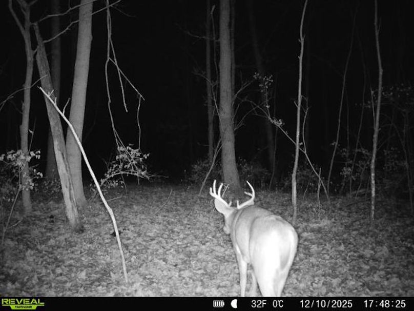 860516068012925-20-3-12102025174824-V-W1000131