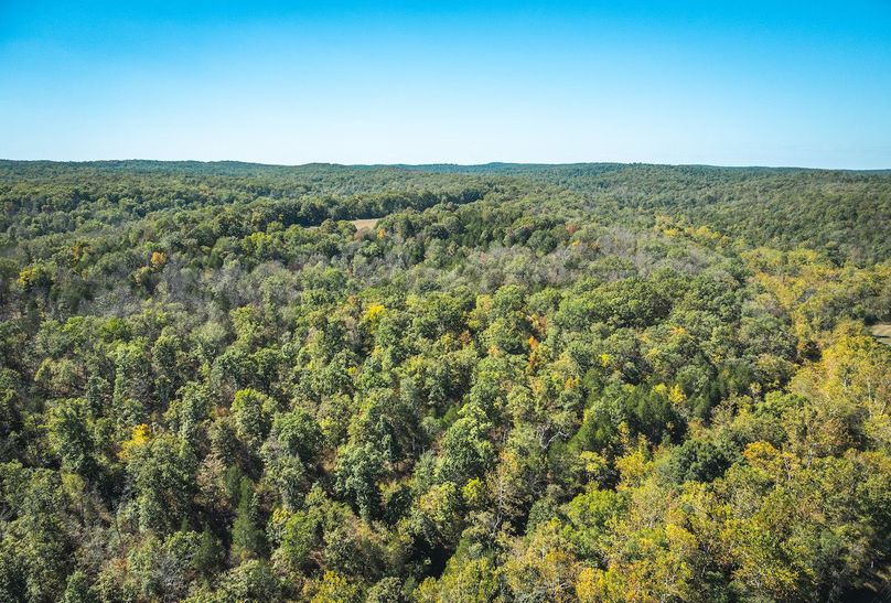 DJI_20251009063116_0644_D