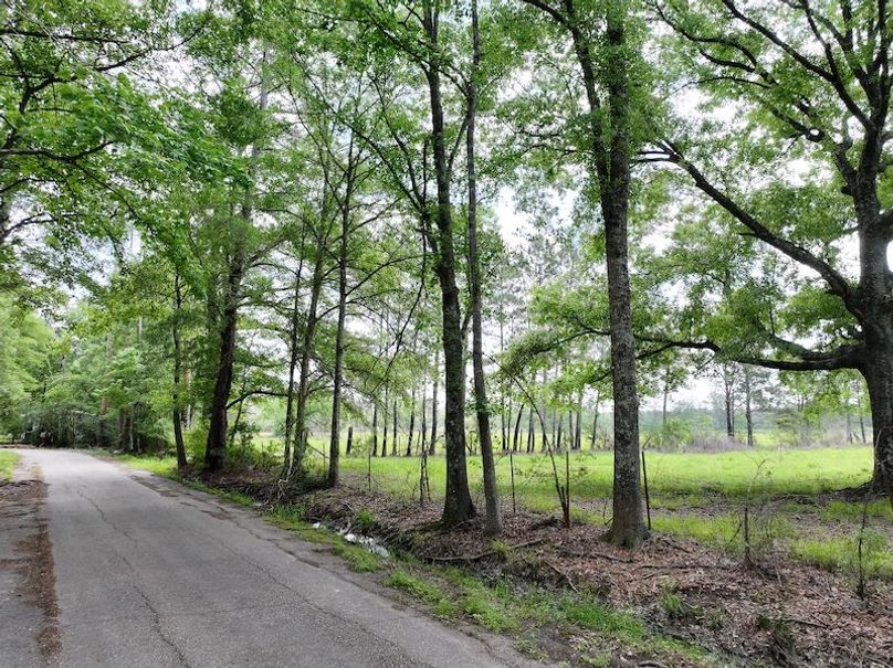 dji_fly_20260414_101852_0070_1776201097283_photo