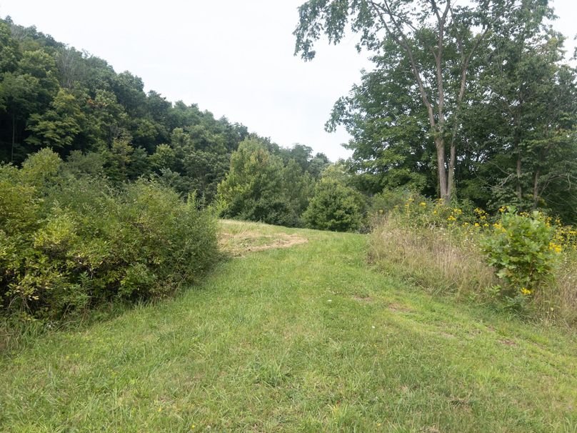 21_36.85_Pocahontas_WV