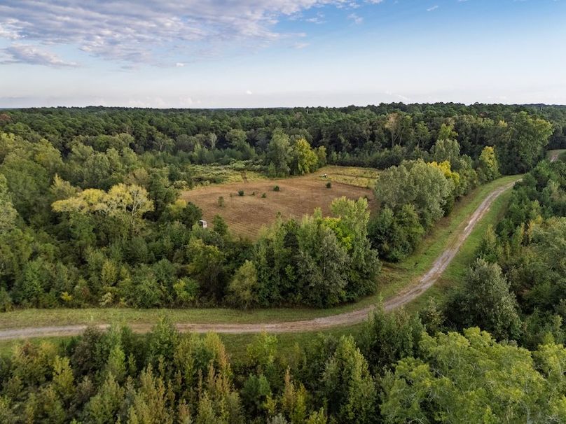 19 Edited Harison co. 206 - Ed Robb-113