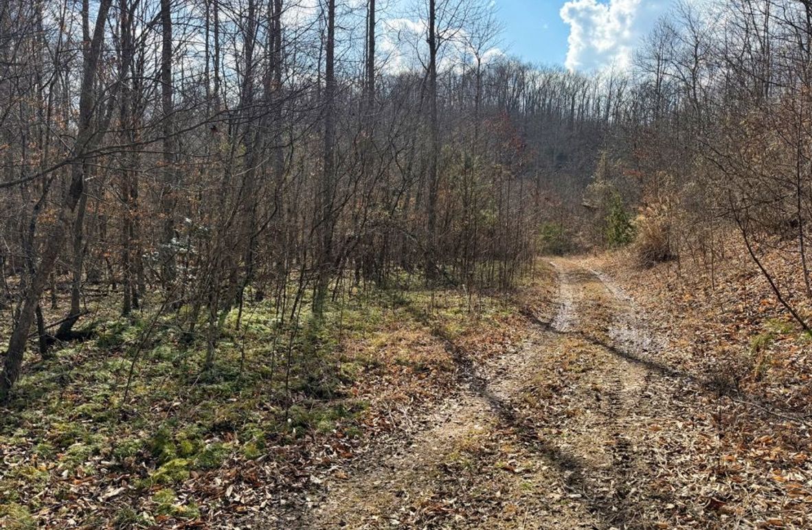 004 great trail system throughout the property-2