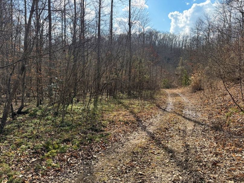 004 great trail system throughout the property-2