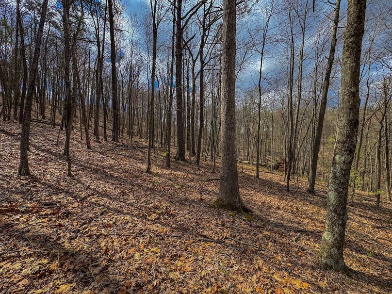 Wirt, WV 62.5 AC Full-13