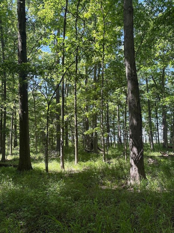 trail 8