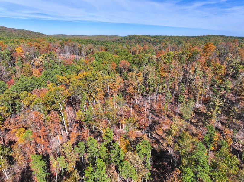 DJI_20251104131002_0859_D