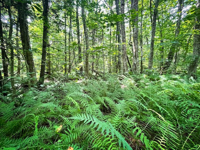 Oswego_100_Roof_Photos_35