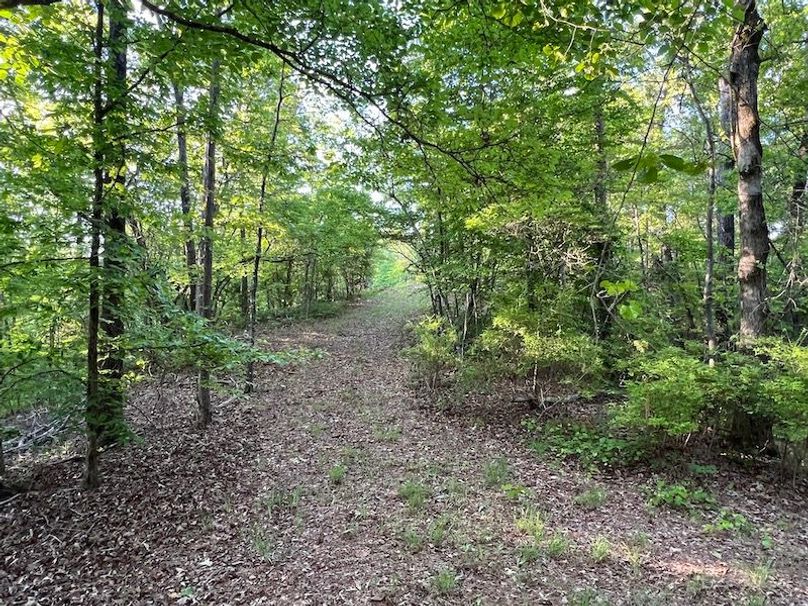 105
