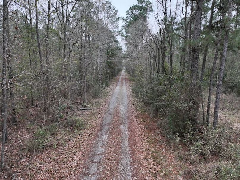 dji_fly_20260123_105550_0904_1769444792243_photo