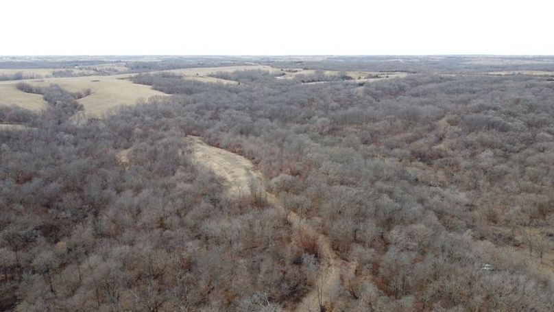 DJI_0645