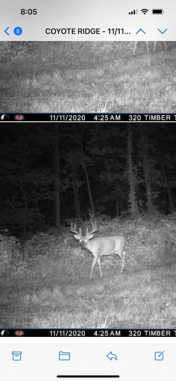 COYOTE RIDGE - 11112020 - 540 AM(1)