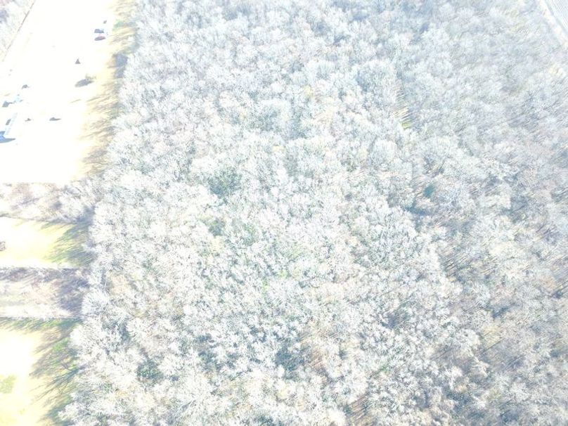 DJI_0020