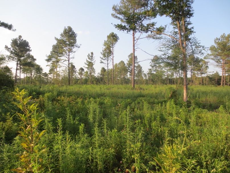 1B5E4EDB-8A3C-47EF-8EA0-AA3BE3E0D2FB_1_105_c