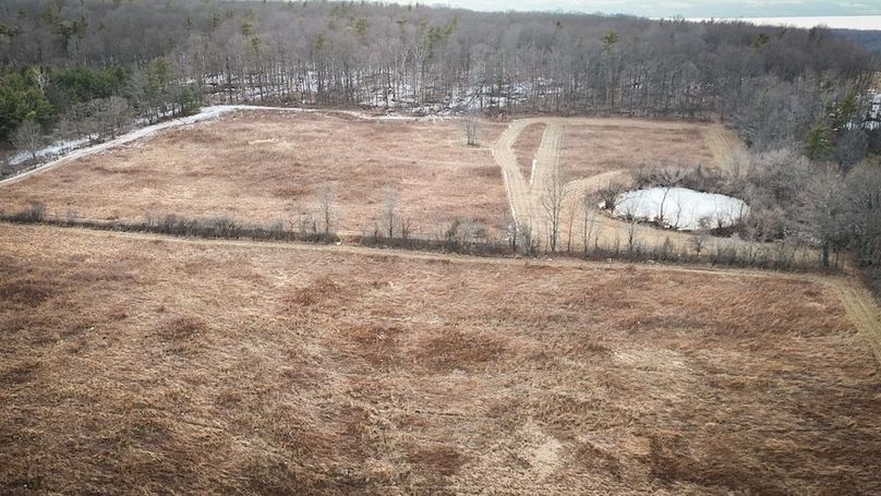 Seneca_24.54_Hohwald_Photos_12