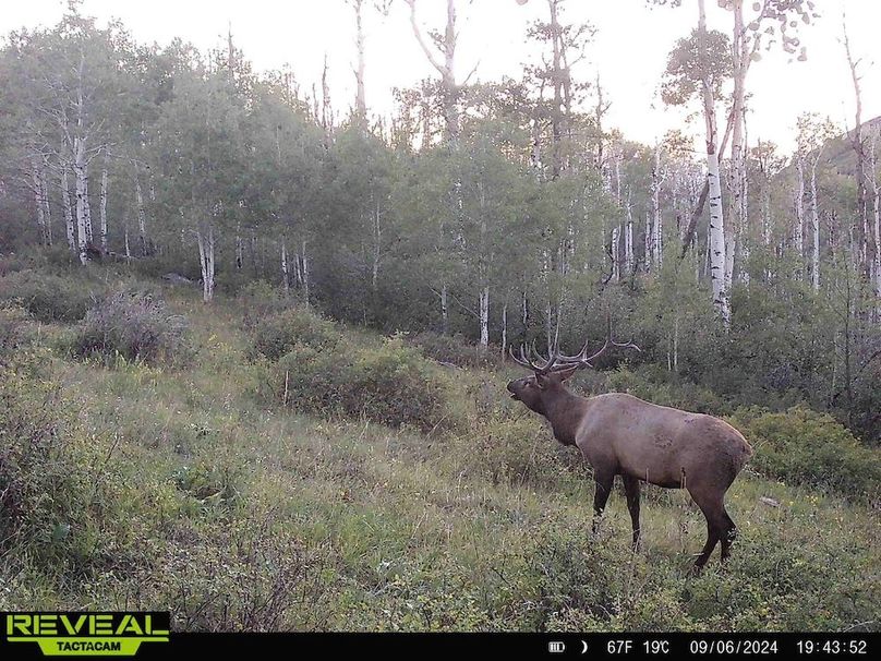 Copy of 864049052055672-60-4-09062024194352-HD-W1000474 (1)