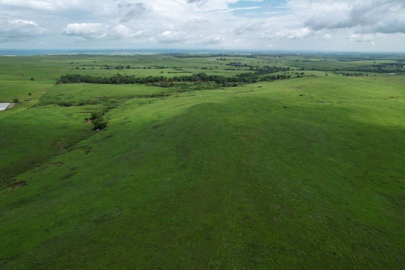 DJI_0656