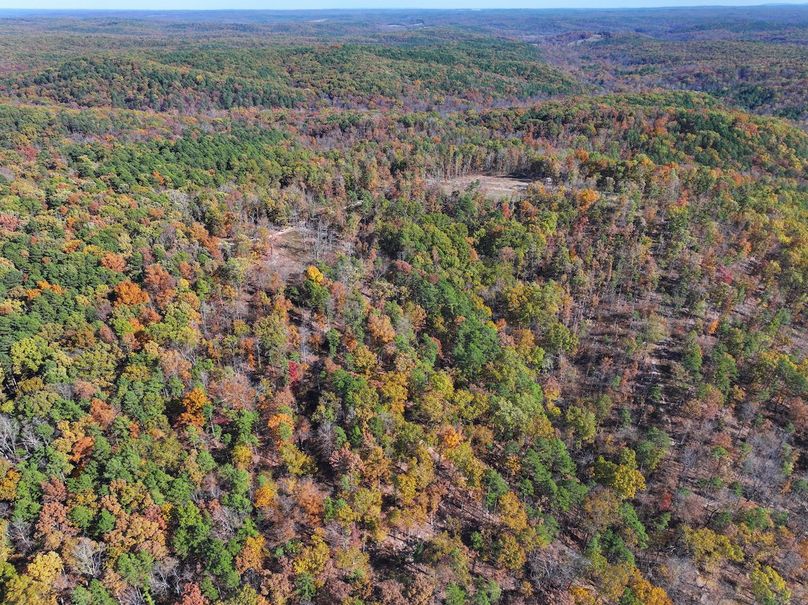 DJI_20251104130514_0845_D