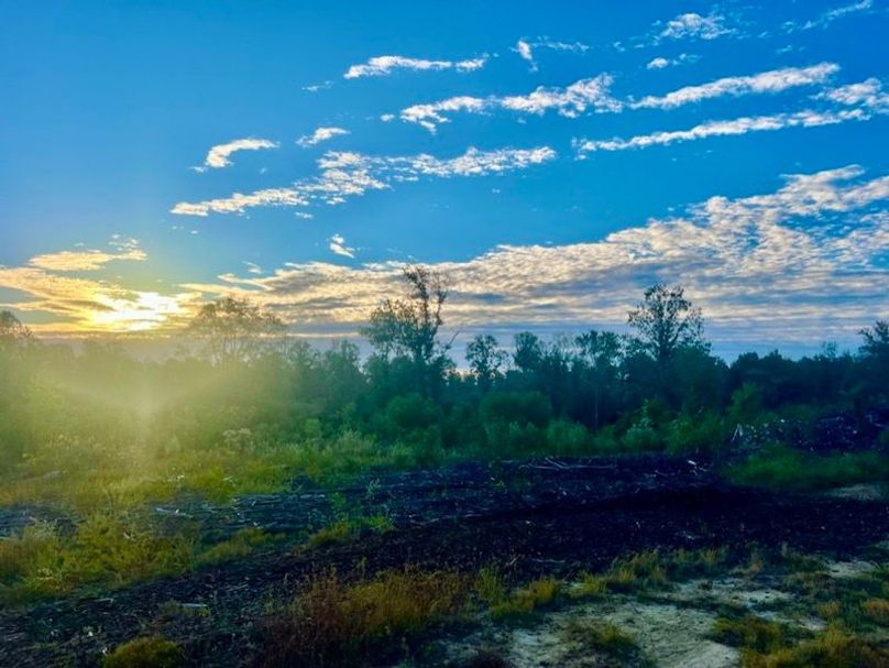 38113A7F-1946-4891-8BDF-200BF941FFDE_1_105_c