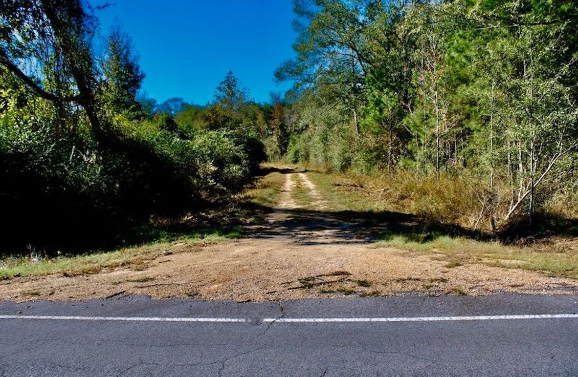 0E91F42B-8ECC-4810-B85D-67EC4C6C7B1A_1_105_c