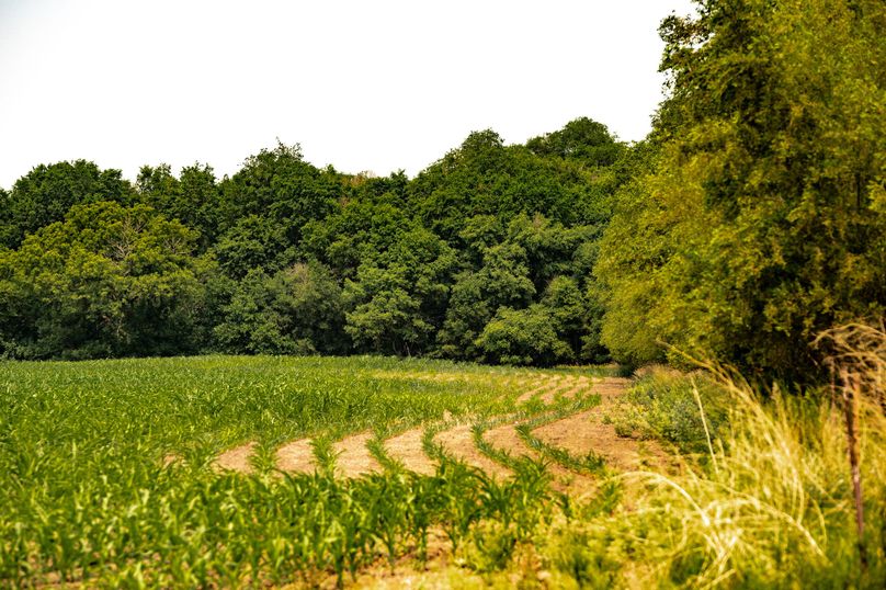 3. shelter belt along tillable