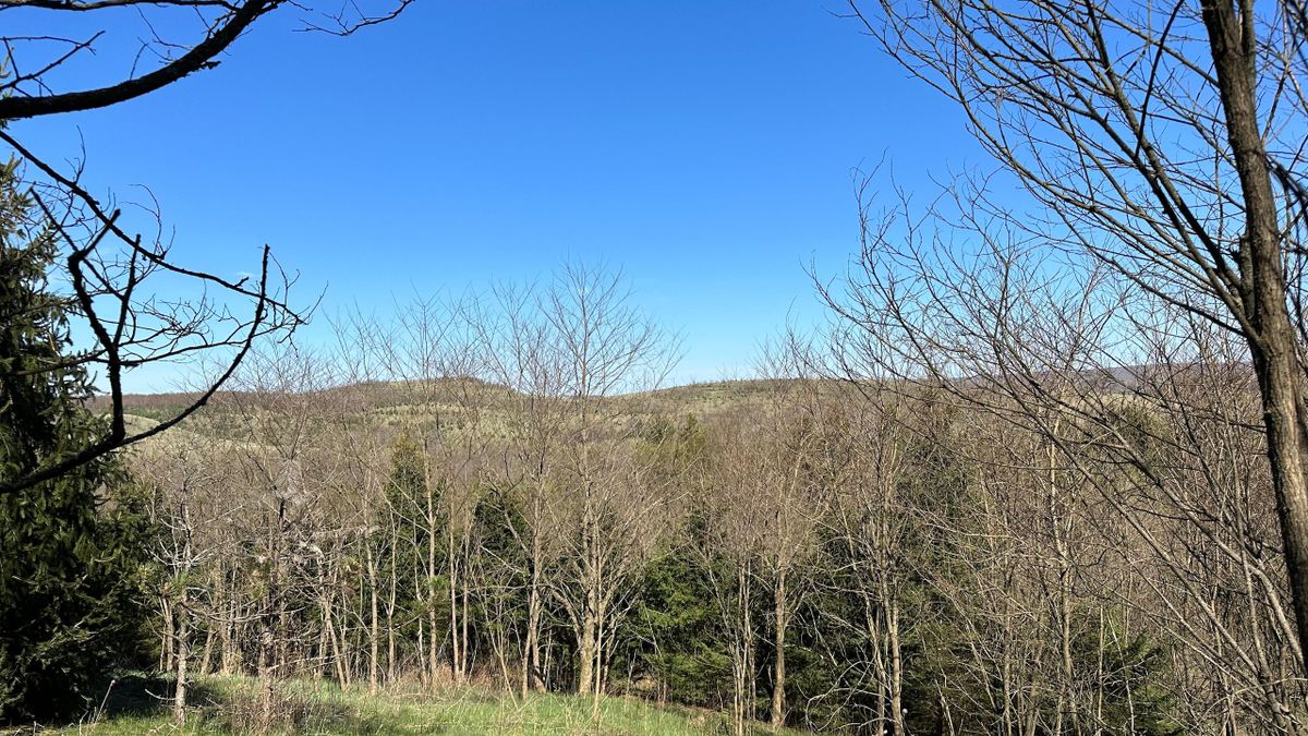 Conveniently Located Recreational Property Whitetail Properties