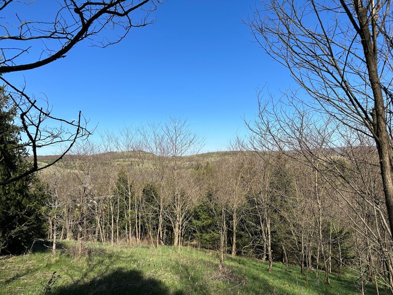 2D200ECC-EF7C-4237-978F-789C80581A3A