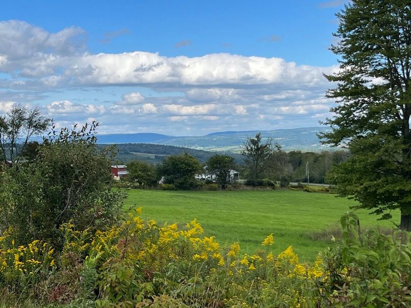 Schuyler_42.08_Austin Photo 1