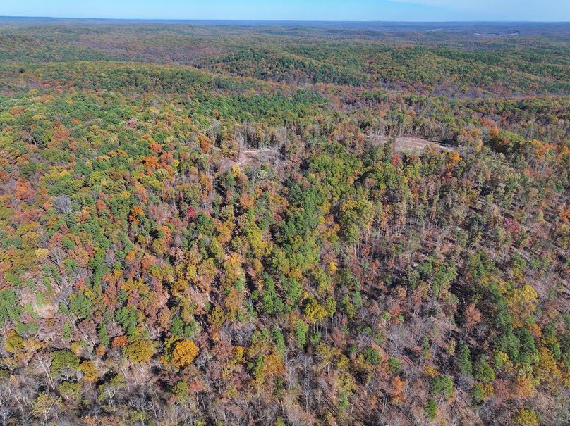 DJI_20251104130458_0843_D