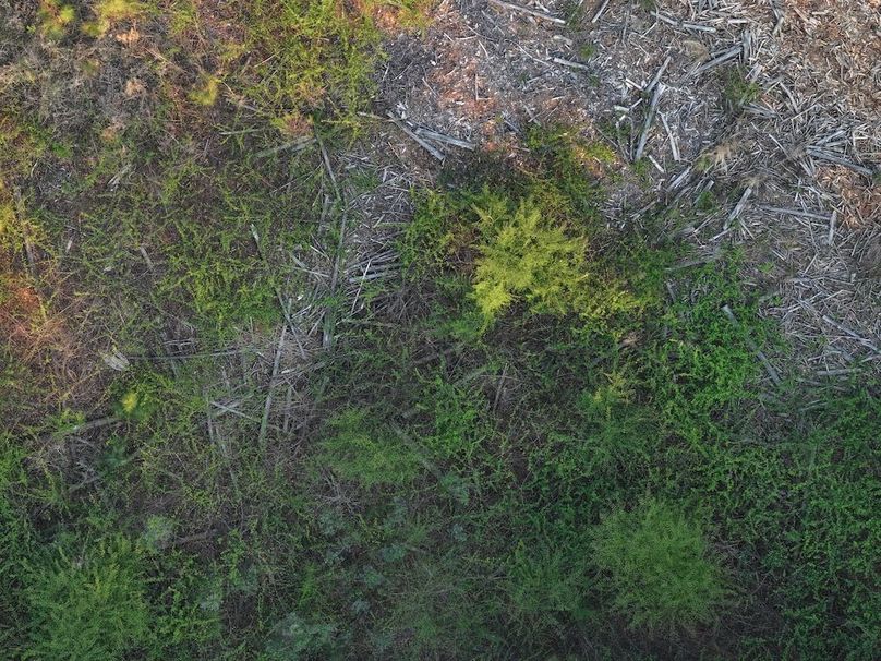 F109 - 105 Acres - Drone-14