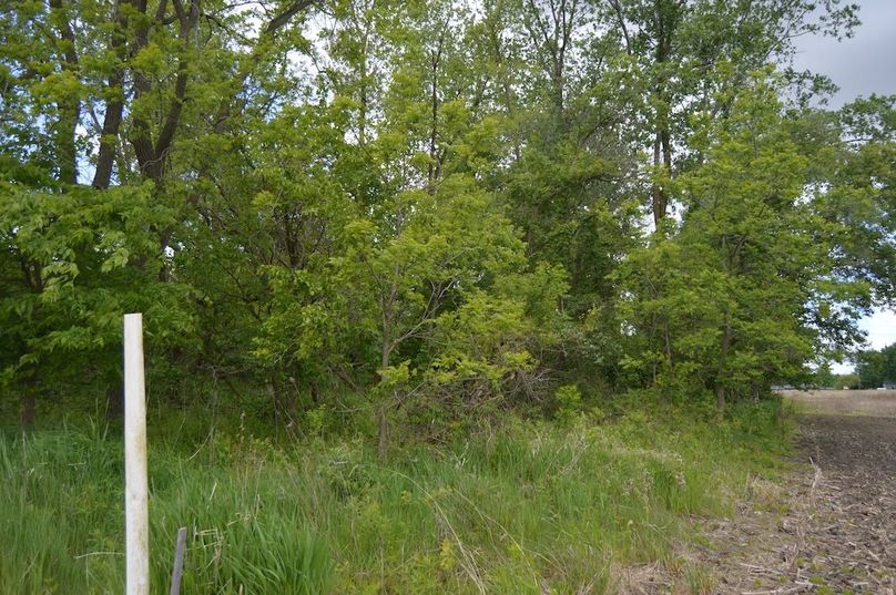 North border of small woodlot