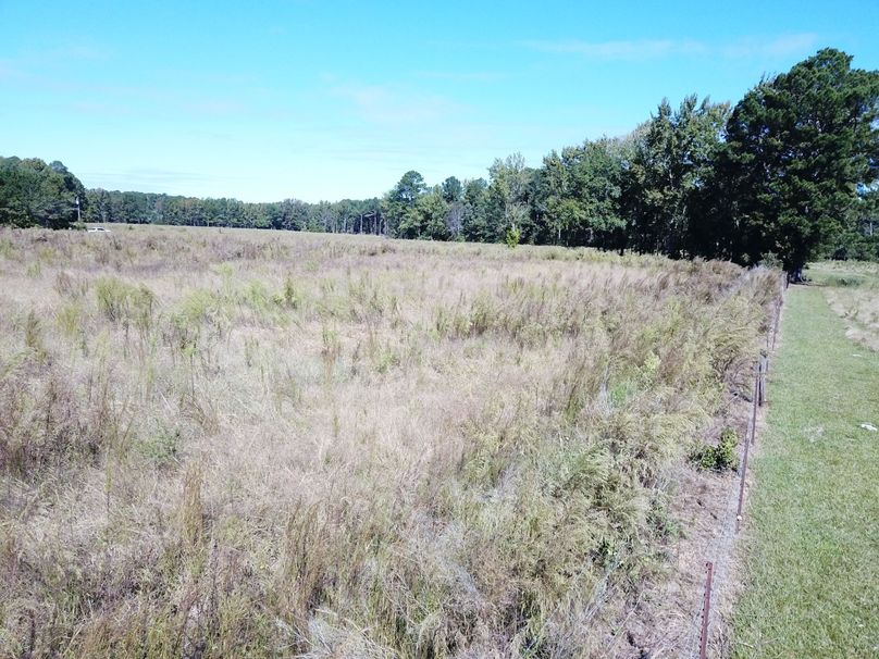 Copy of DJI_0021