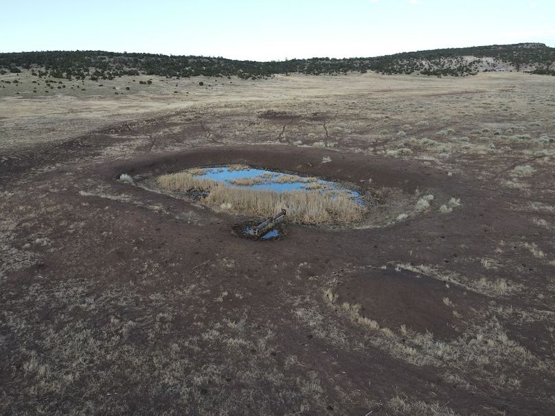 31_Pratt D_s Artesian