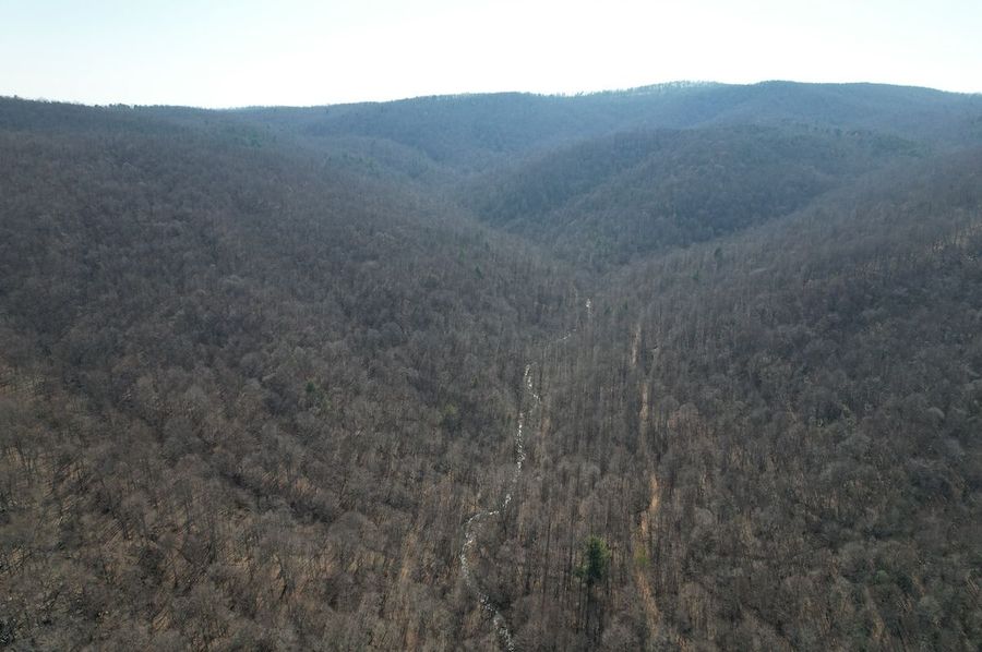 DJI_0838