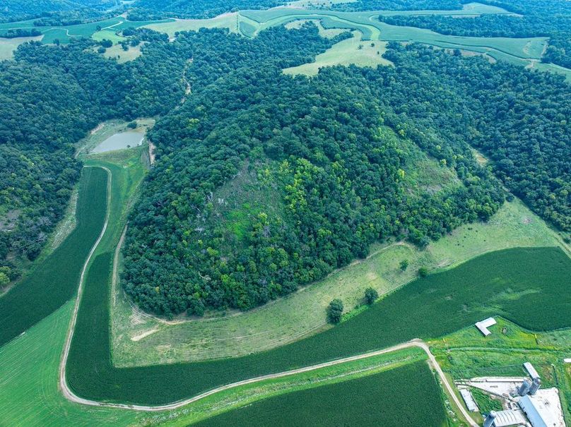 New Albin 8_8 edits-58