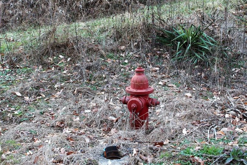 013 fire hydrant near one of the many existing house seats