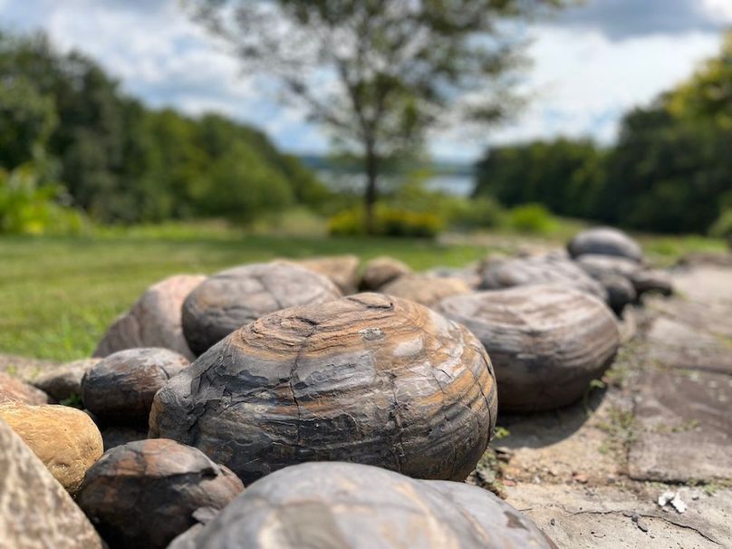 Seneca_65_Engels Photo 37