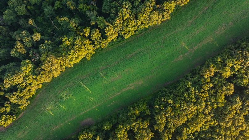 DJI_0114-HDR-2