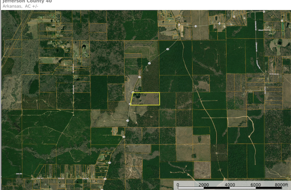 Screen Shot 2025-11-12 at 7.01.53 PM