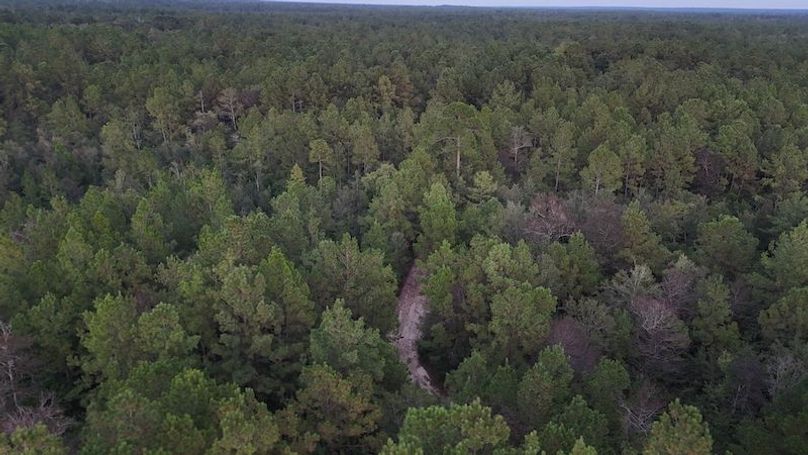 DJI_20250911195818_0044_D