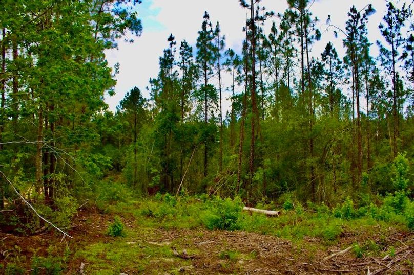 3F9D0E00-162A-4605-AD50-748502F34755_1_105_c