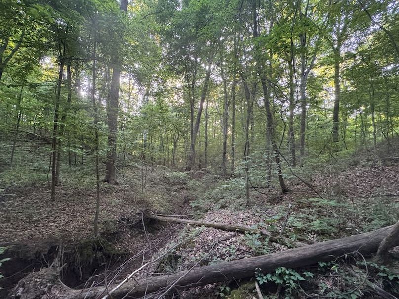 Desoto 8.3 Clement (Final Frontier) -21