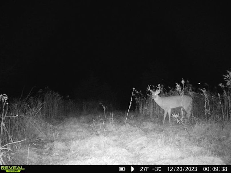 860322065128164-1-4-12202023000938-V-W1006561