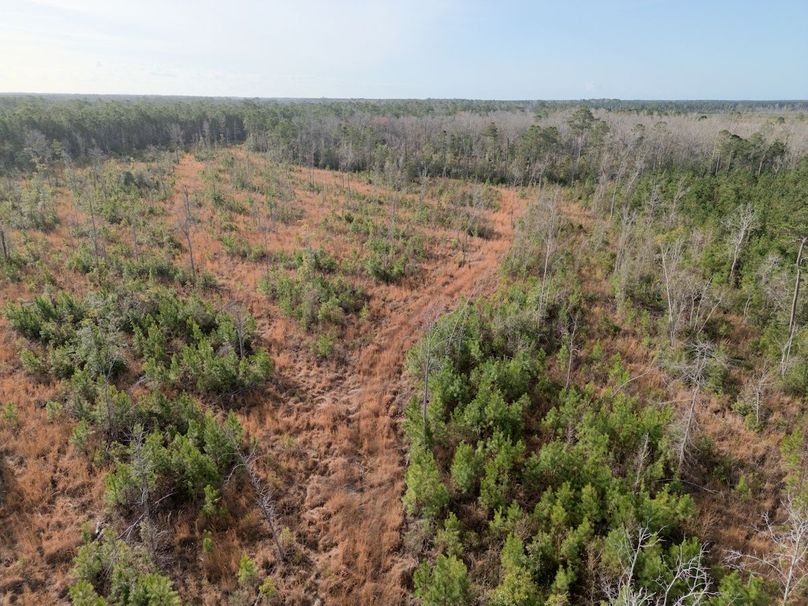 DJI_20240227082501_0006_craven60