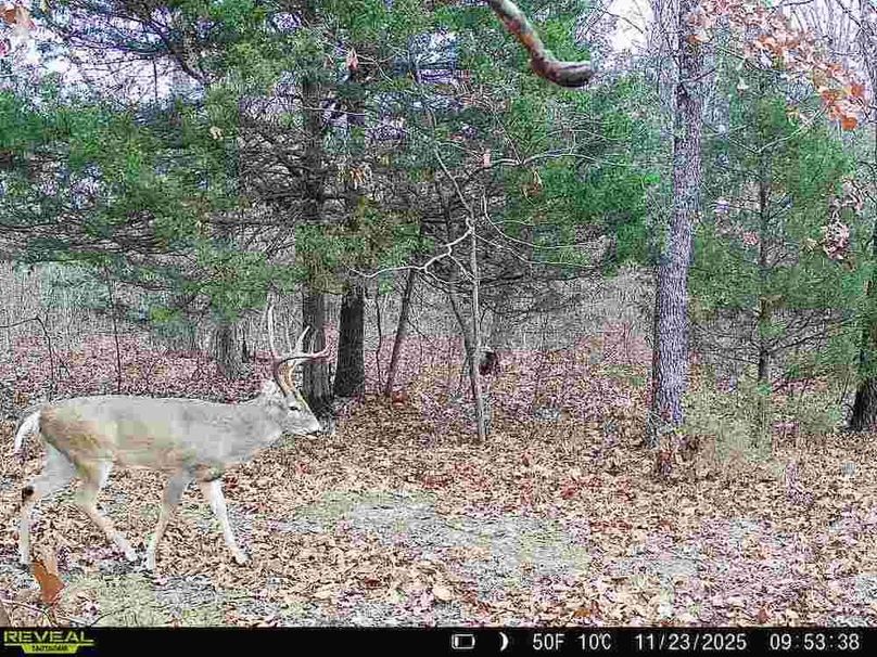 868032069438913-0-3-11232025095338-V-W1000930