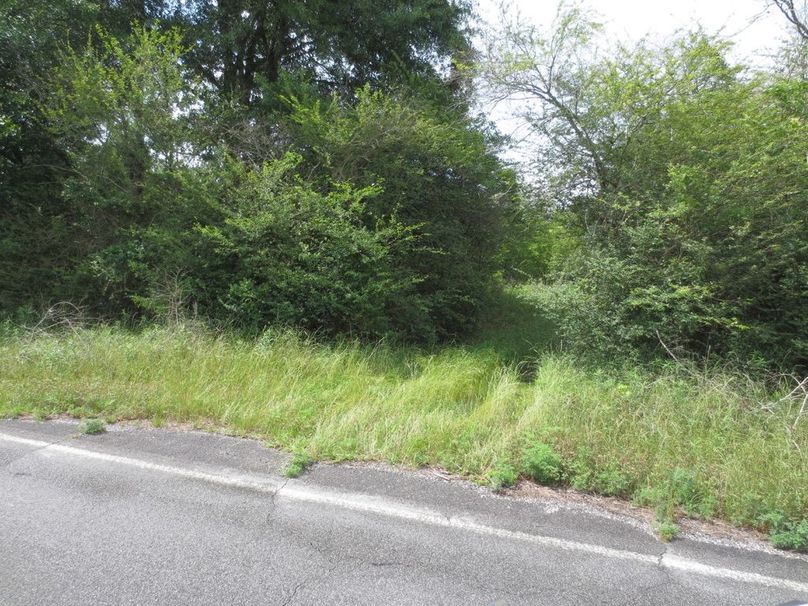 1D83D225-2D11-461B-B6B2-BE22B1E2C23A_1_105_c