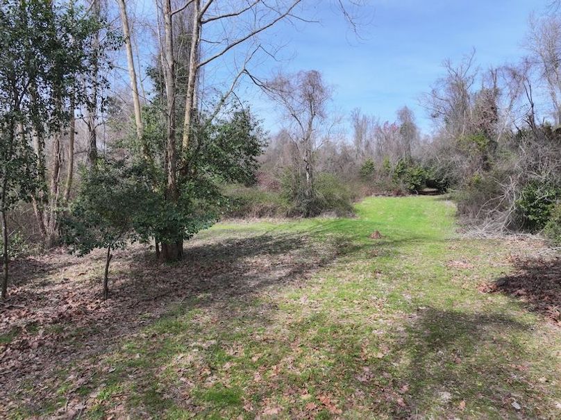 dji_fly_20260224_094012_0295_1772209078326_photo