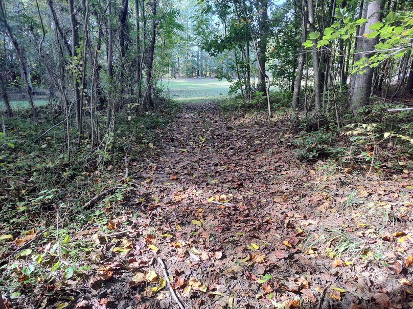 IMG_20231017_105633227_HDR