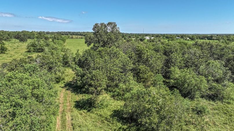 Copy of DJI_20240909115427_0003_D