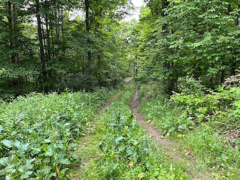 Chemung_116.3_Stamm Photo 20